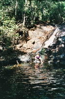 adventure_frog_01.htm