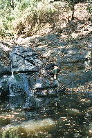 adventure_frog_02.htm