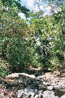 adventure_riverbed.htm