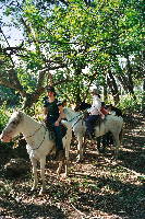 horseriding_01.htm
