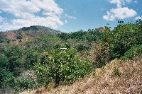 landscape_adventure_011.htm