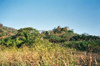 landscape_alegria_011.htm