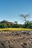 landscape_alegria_021.htm