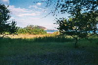 landscape_beach_01.htm