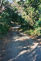 landscape_way_beach.htm